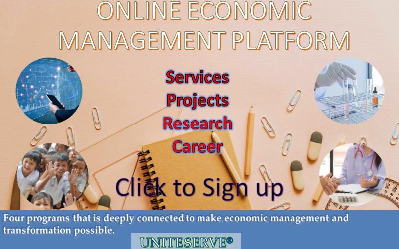 Online Economic Management Platform